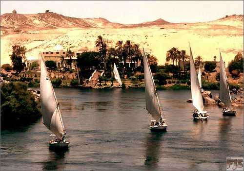 Nile-River-boats.jpg